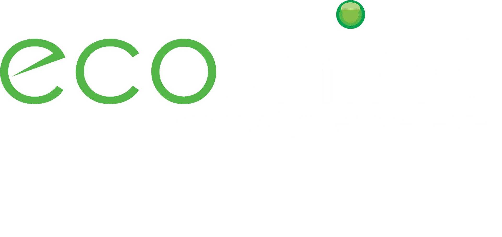 Ecoshine logo och slogan vit