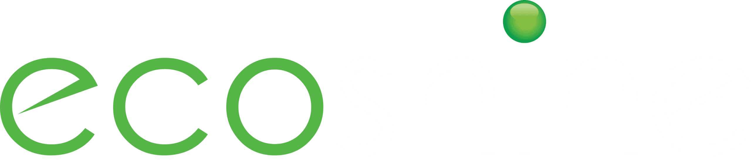 Ecoshine Logo